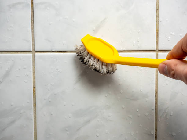 Best Black Mold Removal  in Blissfield, MI