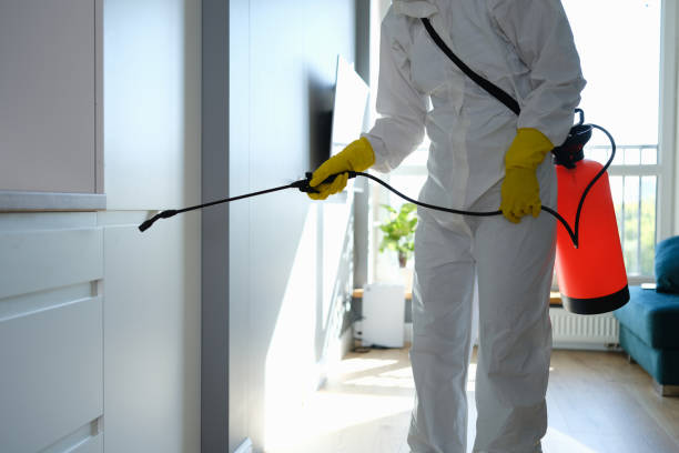 Office Mold Removal Services in Blissfield, MI